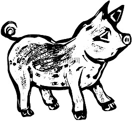 動物,自然,野生