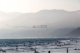 海,海洋,水