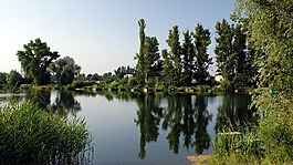 湖,恢復(fù),景觀