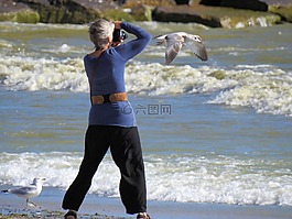 攝影師,波,海鷗