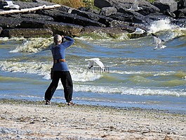 攝影師,波,海鷗