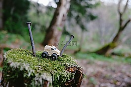 森林,玩具,卡車