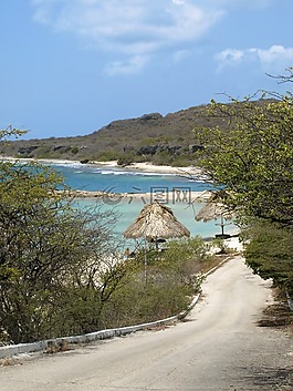 海灘,路,加勒比