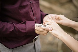 fatestudios,愛,快樂