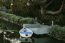 樹,植物,花
