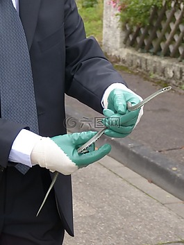 草蛇,男子,手