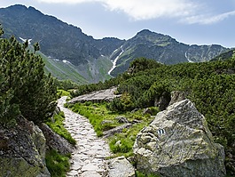 國家,景觀,山