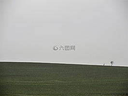 草地,地平線,景觀