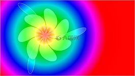 花,多彩,自然
