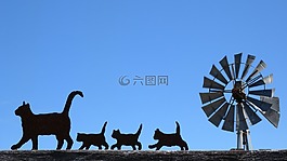 貓,黑,側(cè)影