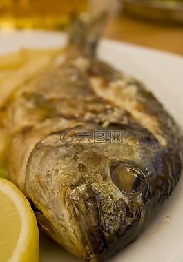 多拉达海岸,鱼,饮食