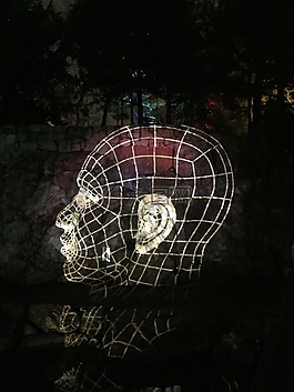 頭,光,頭骨