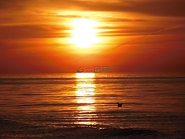 日落,太陽,海