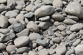 石頭,干,沙漠