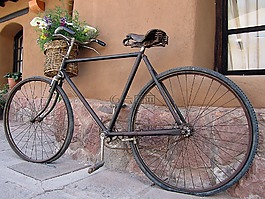 自行車,葡萄收獲期,老