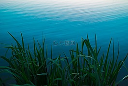 湖,藍(lán)色,水