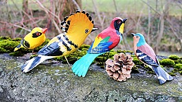 木,鳥類,鳥