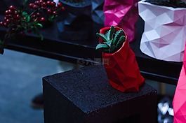紅色,花盆,植物