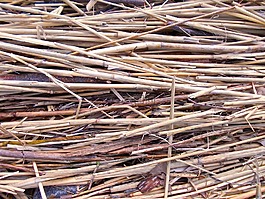 里德,結(jié)構(gòu),大自然