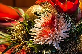 圣誕節(jié),圣誕樹,綠色