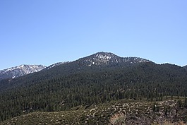 山,森林,自然