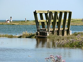 潮,海灘,橋