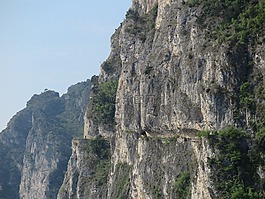 意大利,自行車(chē),ferine