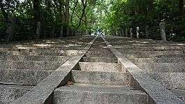 上海,佘山,台阶