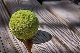 網(wǎng)球,體育,球