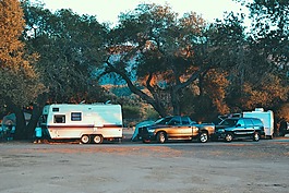 总线,酿酒,汽车