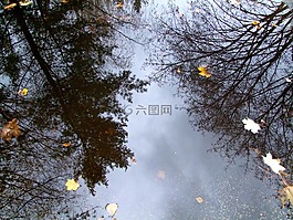 水,片,性質(zhì)