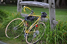自行車,籬笆,騎自行車