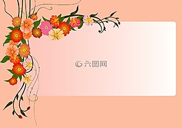 背景,粉色,鮮花