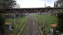 鐵路軌道,火車,戶外活動(dòng)