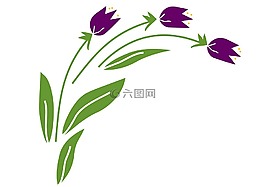 郁金香,花卉,春天