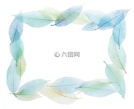ram,植物,藍色
