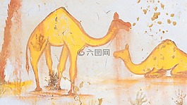埃及,駱駝,非洲