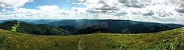 綠色,草,山