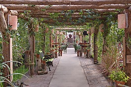 花園,寧靜