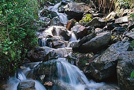 山,高山,山中的小溪