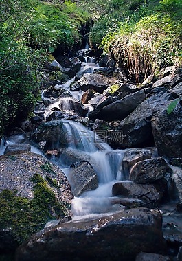 山,高山,山中的小溪