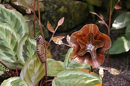 銅,藝術(shù),花