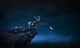 鹿,晚上,自然