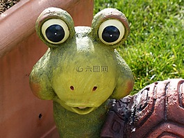 龜,眼睛,看看