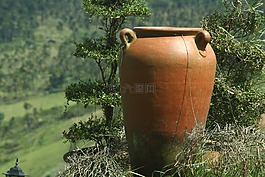 花瓶,釀酒,裝修