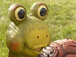 龜,眼睛,看看