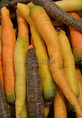 胡蘿卜,蔬菜,根