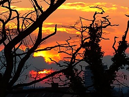 日落,太陽,天空