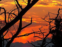 日落,太陽,天空