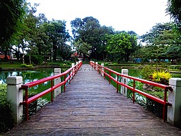 日本花園,公園,景觀